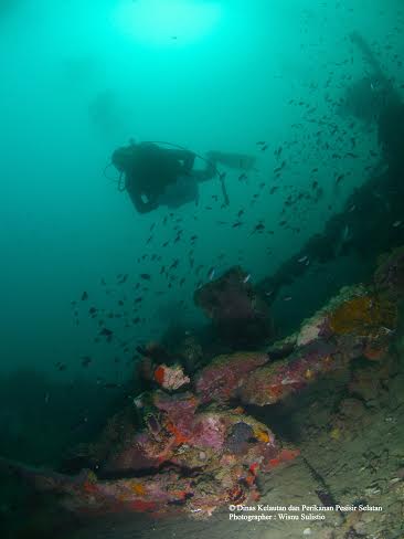 Kontes Fotografi Bawah Laut Abadikan Surga Bawah Laut Kawasan Mandeh ...