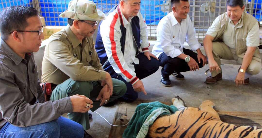 Kenang Nasrul Abit, BKSDA Sebut NA Sosok yang Inspiratif dan Peduli dengan Alam