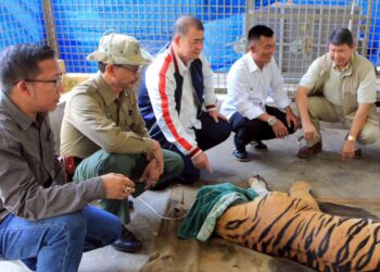 Kenang Nasrul Abit, BKSDA Sebut NA Sosok yang Inspiratif dan Peduli dengan Alam