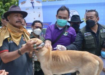 Di Sumbar, Rabies Bisa Sebabkan 14 Kematian Setiap Tahunnya