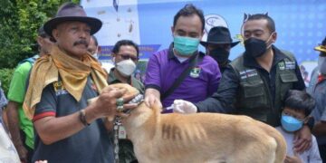 Di Sumbar, Rabies Bisa Sebabkan 14 Kematian Setiap Tahunnya