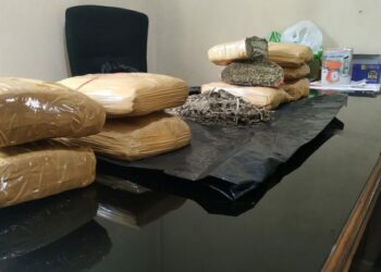 Baru Bebas dari Lapas, Dua Residivis Narkoba Kembali Berulah