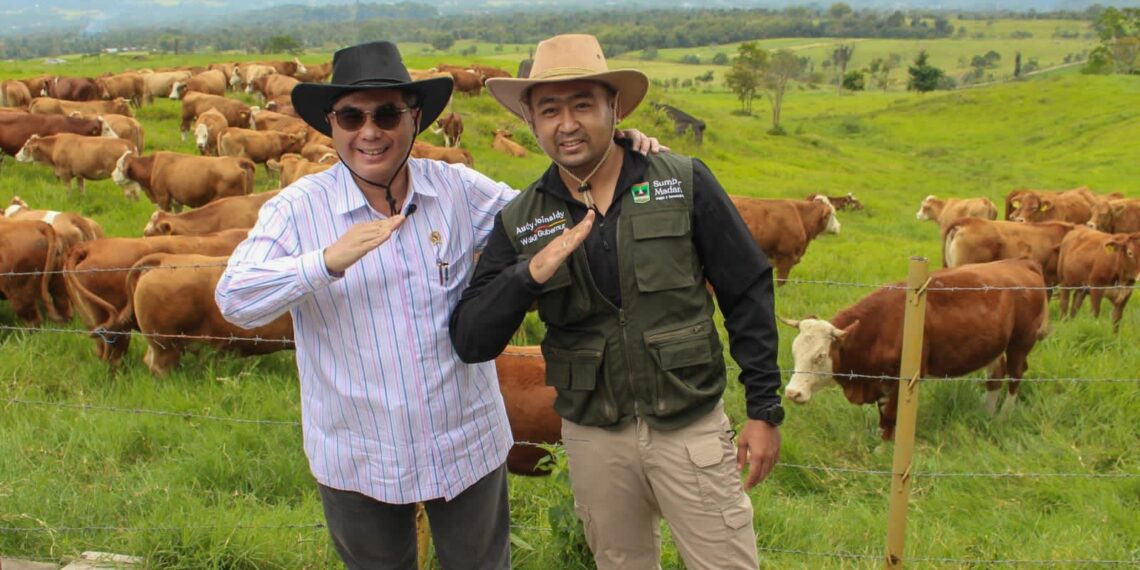 Wamentan Nilai BPTU Padang Mangateh Solusi Defisit Sapi Indonesia