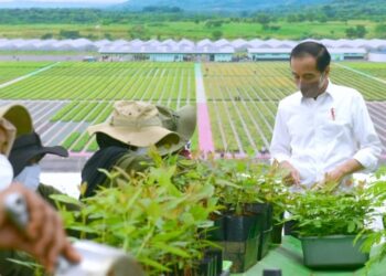 Presiden: Indonesia Serius Tangani Perubahan Iklim