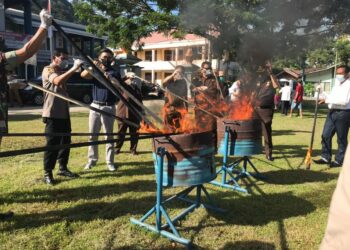 BNNP Sumbar Musnahkan Barang Bukti Nakotika Jenis Ganja Seberat 72 Kg