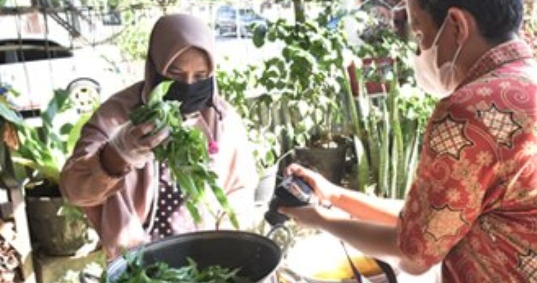 Tak Cuma Daging, di Pariaman ada Sayuran yang Diolah bak Dendeng