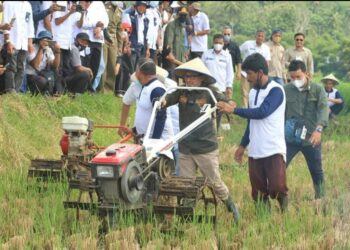 Ada Program Bajak Sawah Gratis di Tanah Datar
