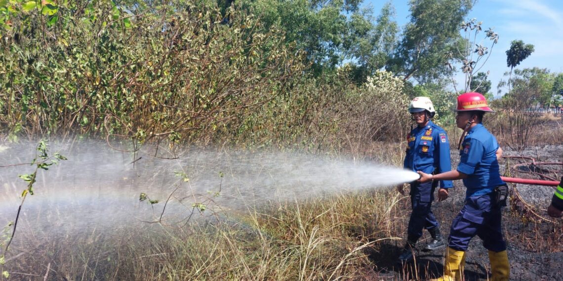 Lahan Kosong Sekitar Lanud Sutan Sjahrir Terbakar, Api Padam Setelah 30 Menit