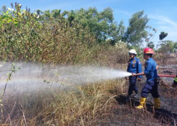 Lahan Kosong Sekitar Lanud Sutan Sjahrir Terbakar, Api Padam Setelah 30 Menit
