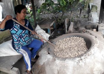 Butuh Waktu Hingga Dua Jam, Produksi Randang Kacang Khas Pasaman Terasa Unik