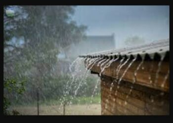 Waspada, Pasaman Serta Sejumlah Wilayah di Sumbar Berpotensi Hujan Lebat Siang hingga Sore Hari