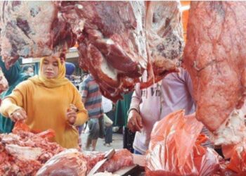 Kadis Pertanian Agam Sebut Ketersediaan Daging Aman untuk Kebutuhan Ramadhan