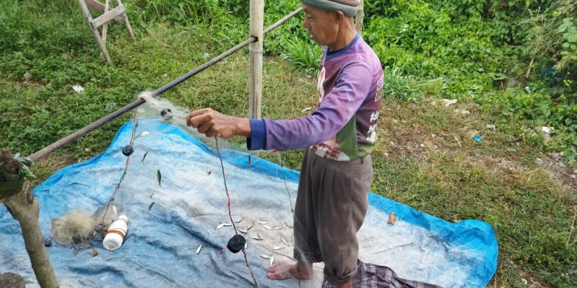 Ikan Bilih di Danau Singkarak Mulai Langka, Harga Per Kilogram Naik Dua Kali Lipat