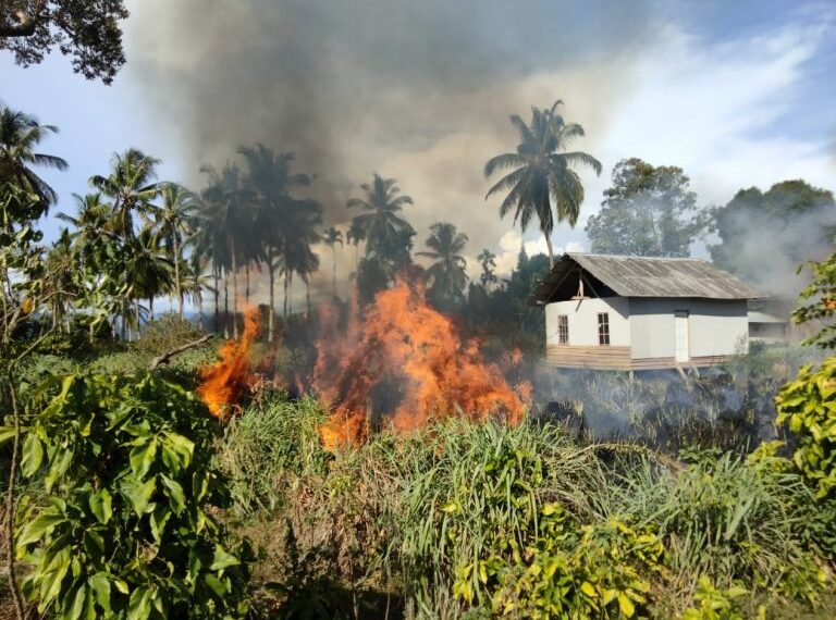 Panas Mendera, Beberapa Kawasan di Pessel Alami Kebakaran Lahan