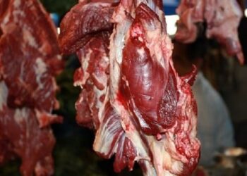 Daging dari Hewan yang Terjangkit PMK Masih Aman untuk Dikonsumsi, Lakukan Hal Ini