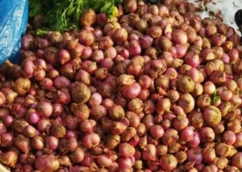 Bawang Merah di Pasar Raya Kota Solok Naik Hingga Rp 50 ribu Per Kilogram