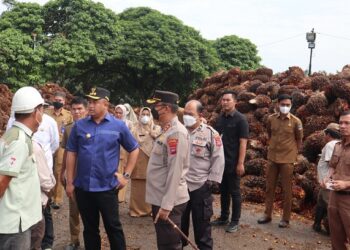 Tolak TBS Kelapa Sawit Rakyat, Bupati Sutan Riska Mewanti-wanti Akan Cabut Izin Pengelolaan PKS di Dharmasraya