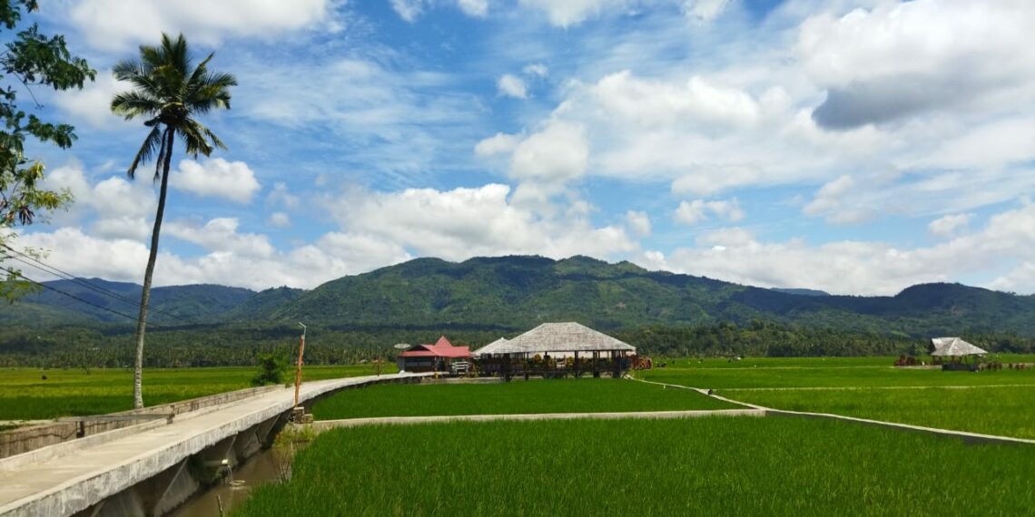 Sawah Solok Jadi Destinasi Wisata Paling Banyak Dikunjungi saat Libur Lebaran 2022 di Kota Solok