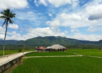 Sawah Solok Jadi Destinasi Wisata Paling Banyak Dikunjungi saat Libur Lebaran 2022 di Kota Solok