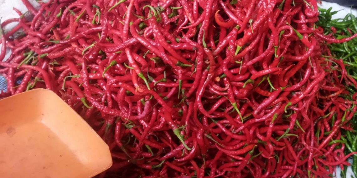 Harga Cabai di Pasar Sumani Kabupaten Solok Naik, Per Kilogram Dijual Rp 55 Ribu