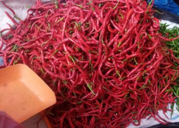 Harga Cabai di Pasar Sumani Kabupaten Solok Naik, Per Kilogram Dijual Rp 55 Ribu