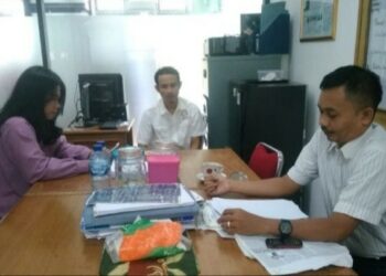 Memelihara Telur Tukik Tanpa Izin Marak Terjadi, Habitat Penyu Terancam