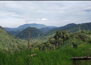 Ekowisata kawasan Marga Bukit Bulan sebagai Wisata Alternatif di Kabupaten Sarolangun.