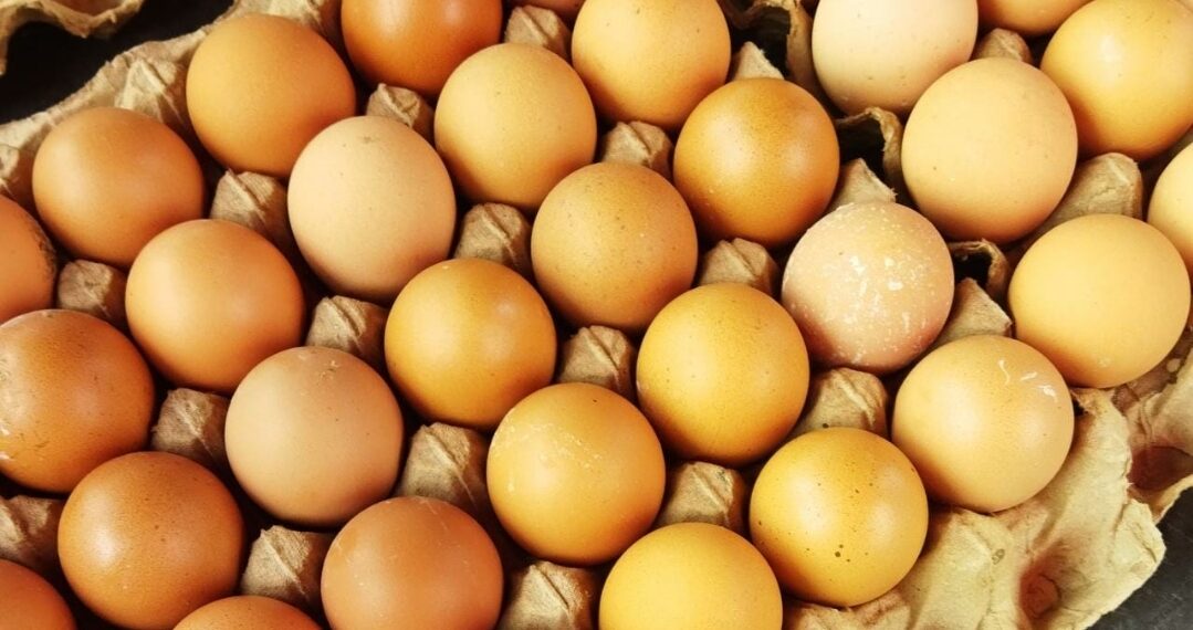 Harga Telur di Pasar Sumani Kabupaten Solok Alami Kenaikan