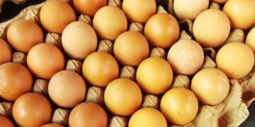 Harga Telur di Pasar Sumani Kabupaten Solok Alami Kenaikan