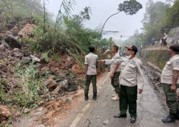 Ini Penyebab Terjadinya Longsor di Sitinjau Lauik, Dinding Tebing Mengalami Kerapuhan
