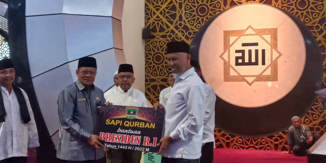 Gubernur Sumbar Serahkan Sapi Kurban Presiden Jokowi untuk Korban Gempa Pasaman