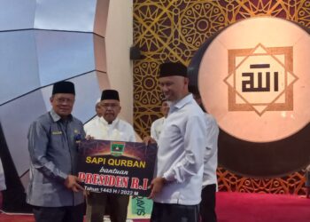 Gubernur Sumbar Serahkan Sapi Kurban Presiden Jokowi untuk Korban Gempa Pasaman