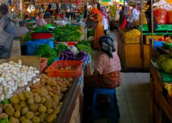 Masih dalam Momen Idul Adha, Harga Sejumlah Pangan di Sumbar Masih Tinggi