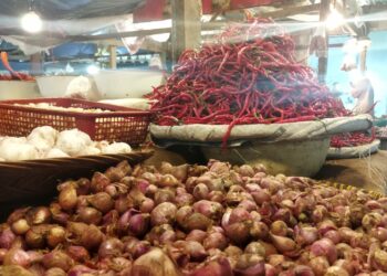 Di Pasar Raya Kota Solok, Harga Cabai Merah Rp 120 ribu Perkilogram