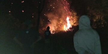 Terjadi Kebakaran Lahan Milik Warga di Jalan Lingkar Utara Kota Solok