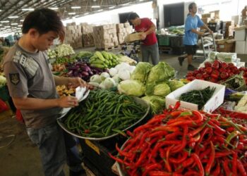 Singapura Denda Perusahaan yang Impor Buah dan Sayur Secara Ilegal dari Malaysia