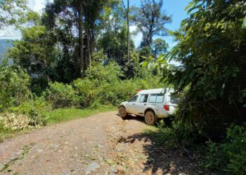 Pohon Tumbang yang Halangi Akses Menuju Nagari Garabak Data Sudah Dievakuasi, Akses Bisa Kembali di Lalui