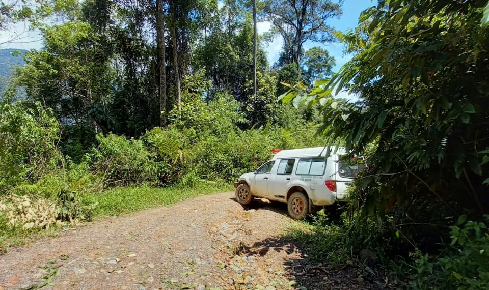 Pohon Tumbang yang Halangi Akses Menuju Nagari Garabak Data Sudah Dievakuasi, Akses Bisa Kembali di Lalui