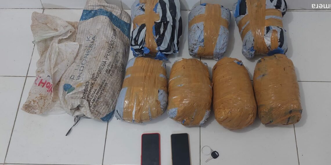 Dua Pria Diciduk, Satres Narkoba Polres Solok Kota Temukan Tujuh Paket yang Diduga Narkotika Jenis Ganja