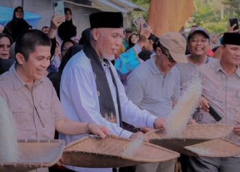Gubernur Mahyeldi ikuti lomba “Manompi Boreh” di Pesta Rakyat Nagari Padang Sibusuk, Sijunjung
