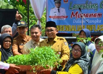 Redam inflasi karena lonjakan harga, Pemko Padang meluncurkan program Gerakan Menanam Cabai di pekarangan Rumah Warga