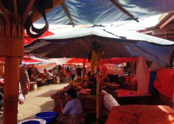 Harga Kebutuhan Pangan di Pasar Raya Kota Solok, Beras Mencapai Rp 17 ribu Perkilogram