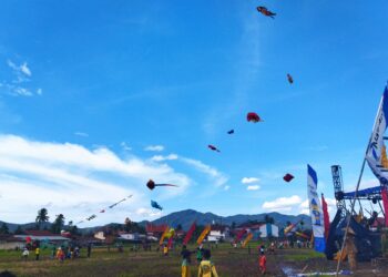 Festival Layang-layang di Hamparan Sawah Solok Turut Diikuti Peserta dari Swedia Hingga Polandia
