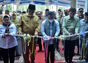 Mal Pelayanan Publik Kota Sawahlunto diresmikan, MenPAN-RB: Gedungnya tidak perlu mewah, yang penting sistemnya