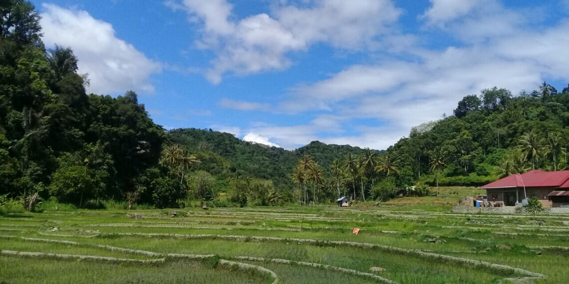 Prakiraan Cuaca Sumbar Hari Jumat Ini: Rata-rata Cerah Berawan