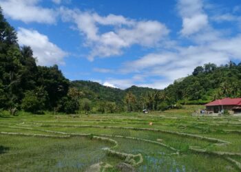 Prakiraan Cuaca Sumbar Hari Jumat Ini: Rata-rata Cerah Berawan