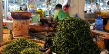 Harga Cabai di Padang Panjang Dilaporkan Turun di Bawah Rp60 Ribu Perkilogram