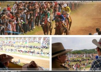 Pacu Kuda Tradisional dan Open Race 2022 di Batusangkar berjalan sukses, tahun depan dijadwalkan dua kali setahun