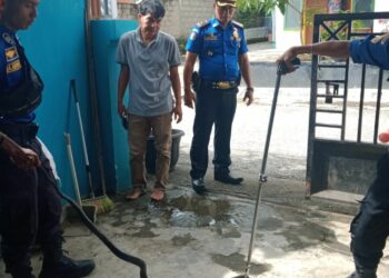 Seorang Warga Temukan Ular di Rumahnya, Damkar Kota Solok Langsung Evakuasi
