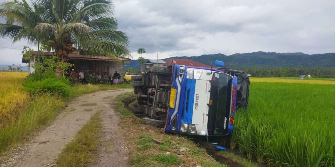 Satu Unit Truk Bermuatan Beras di Saniang Baka Terperosok Masuk Sawah
